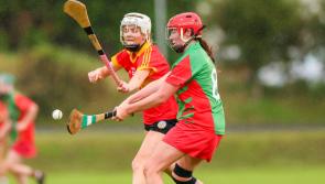CAMOGIE ROUND UP: Thurles Sarsfields reach first-ever senior semi-final