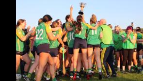 Toomevara effort pays off in league final victory over Shannon Rovers