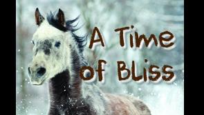 Well known Thurles man William Hayes publishes his first book of poetry