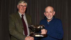 Retirements marked at Templemore Mart