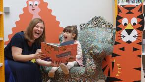 Tipperary libraries to showcase illustration-led books for young readers