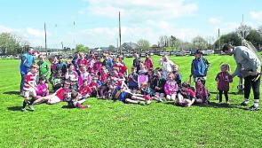 Roscrea  GAA Easter hurling games 2022 proves a great success