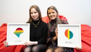 Two Tipperary students at UL receive  Johnson & Johnson’s WISTEM2D Awards Programme scholarships