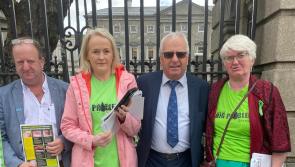Tipperary TD Mattie McGrath calls for action on Lyme disease