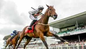 Minella Mate supplies big winner for Tipperary owner/trainer at Galway Races