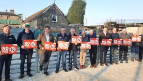 North Tipperary IFA renews calls to help prevent attacks by dogs on sheep