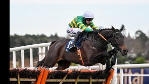 Opening race on day one of Leopardstown Racing Festival won by Tipperary trainer