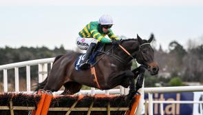 Tipperary trainer Edward O'Grady has entry in Grade 1 Novice Hurdle at Dublin Racing Festival