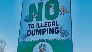 Plan to combat dumping and burning of waste in residential area of Clonmel