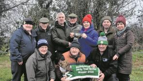 Tipperary will be well represented at 97th National Coursing Meeting in Clonmel