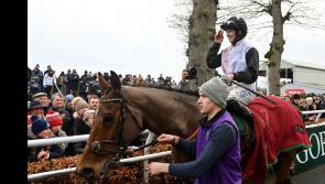 Tipperary connections delighted with success in Goffs Thyestes Chase in Kilkenny