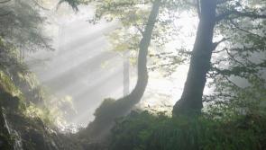 West Tipperary village greatly saddened by three recent local deaths