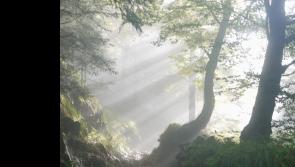 It was a sad lead up to Christmas this year in one west Tipperary village 