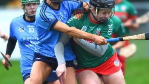 Drom & Inch exact revenge to claim Munster senior title with win over Clare champions