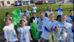 PICTURES: Record turnout around Tipperary for National Spring Clean 2022