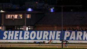 Dog trained in Tipperary is favourite for Irish Greyhound Derby 