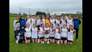 BRILLIANT: Tipperary camogie club creates history in recent Feile final