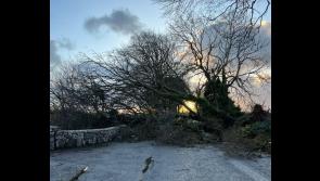 See how Storm Debi's carnage left its mark on communities all over Ireland