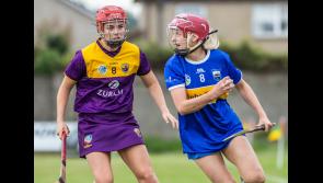Tipperary continue to impress form with facile win over Wexford in camogie championship