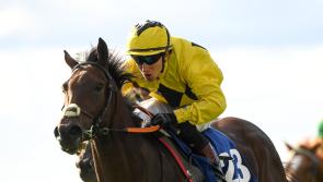 Long-odds victory for young Tipperary jockey in race at The Curragh