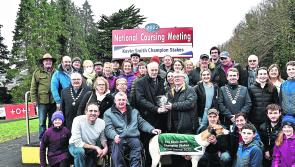 No shortage of Tipperary success at National Coursing Meeting in Clonmel
