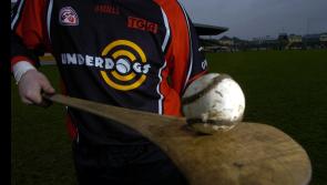 Former Tipperary hurler to feature in new series of TG4's Underdogs show