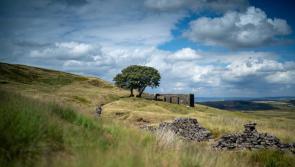County Tipperary group  to host ‘The Most Wuthering Heights Day Ever’