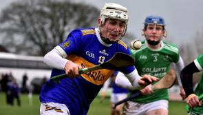 OPINION: Premier Harty Cup hurling renaissance buoys the county after senior  loss to Cork