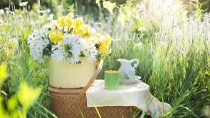 South Tipperary couple hosting fundraising coffee morning in their own home on Saturday 