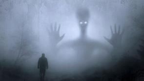 'Step Into The Wild' at event-full Scare in Cahir this weekend - it will be a fright!