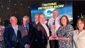 Tipperary greyhounds scoop two prestigious awards - Kudos to Killenaule and Golden