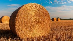 Harvest Thanksgiving in Tipperary - Cahir Service at St Paul's on Sunday next