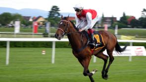 Tipperary trainer provides apprentice jockey with his first-ever winner