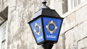 Two men to appear before Criminal Courts following €390k cash seizure in two counties