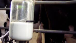 Tipp farmers expecting a price rise for March milk