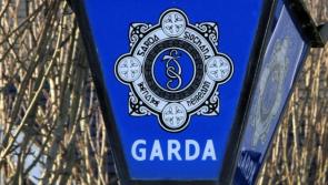 Some unregulated abbatoirs taking in stolen cattle, says Tipperary Garda chief 
