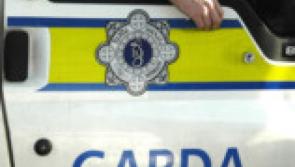 Gardai seize over €6,000 worth of cash and drugs in Clonmel on Bank Holiday Monday
