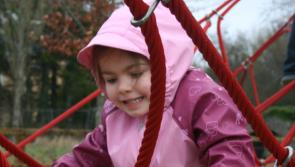 100 families at €100 a pop - Appel to sponsor a playground in Tipperary
