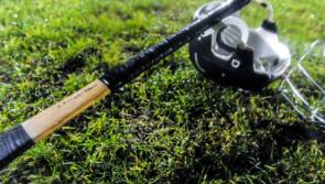Tipperary county league semi-final abandoned after worrying injury to player
