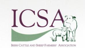 New suckler scheme lacks ambition according to the ICSA 