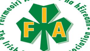 Branch AGMs taking place this week as voting gets underway in IFA presidential elections