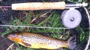 Tipperary anglers urged to be the reel thing on the silver screen