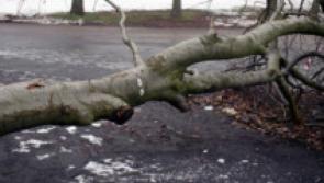 500 Tipperary homes without power after Storm Eleanor