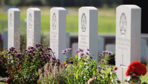 New graveyard needed in County Tipperary - Do you have a site for sale?