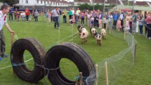 GAA clubs in Tipperary enjoying the freedom after a long lockdown