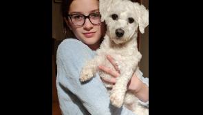 Girl suffered catastrophic injuries in a freak accident while on her way home after attending school in Clonmel