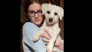 Fundraiser in Lonergans bar in Clonmel to help local family