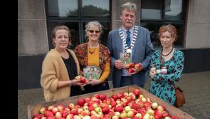 Clonmel is getting ready for Applefest spectacular