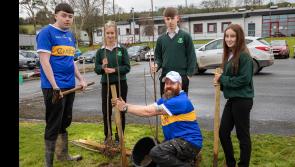 Tipperary schools turning green with donated gift
