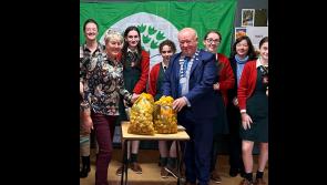 Tipperary students participate in Irish Cancer Society daffodil initiative